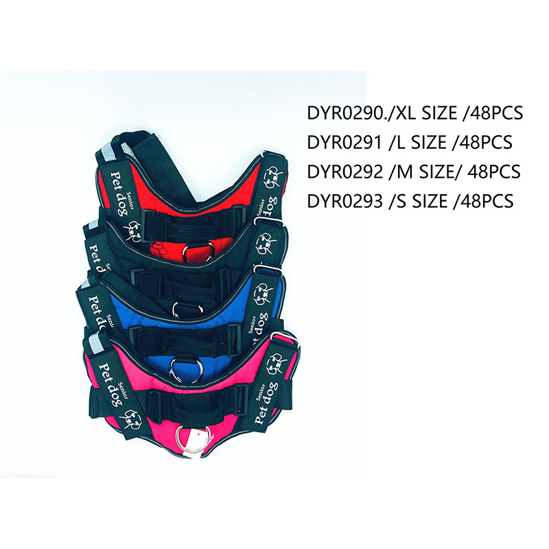 DYR-0290.0291.0292.0293